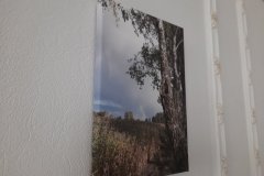 Фото-на-холсте2-20-на-30-см-сбоку
